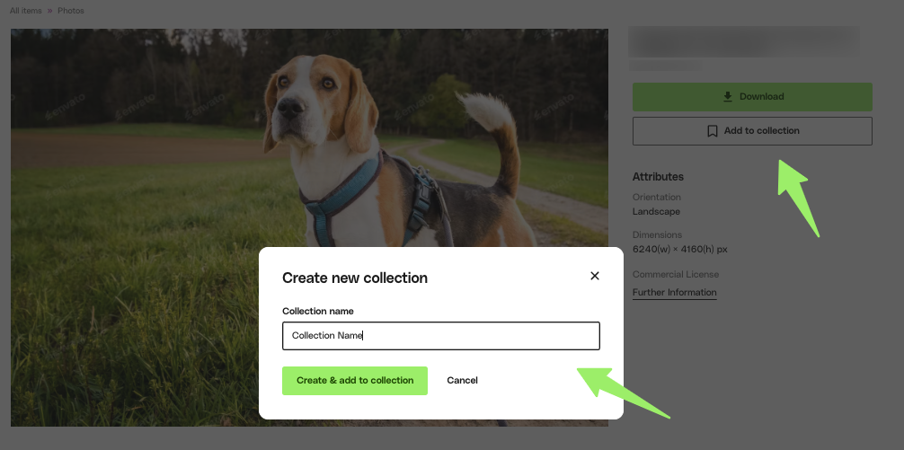 Screenshot of 'Add to collection' pop-up