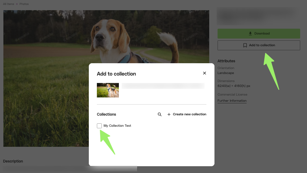 Screenshot of adding item to collection