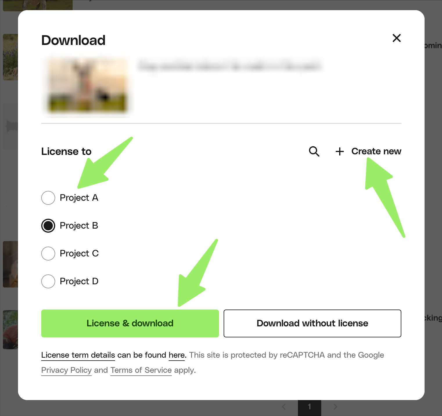 Screenshot of project naming and licensing interface 